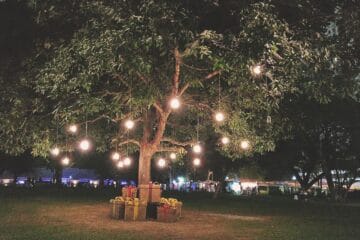 money attraction rbsudha.com life coach and astrologer