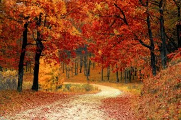 money attraction rbsudha.com life coach and astrologer